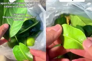 Bingung pakai daun jeruk dan daun salam saat memasak? Perhatikan trik ini biar masakan sedap maksimal