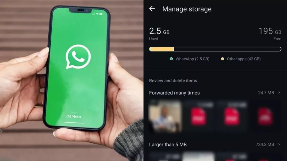 Memori HP sering penuh tapi takut file penting di chat WA tak sengaja terhapus? Ini jawabannya