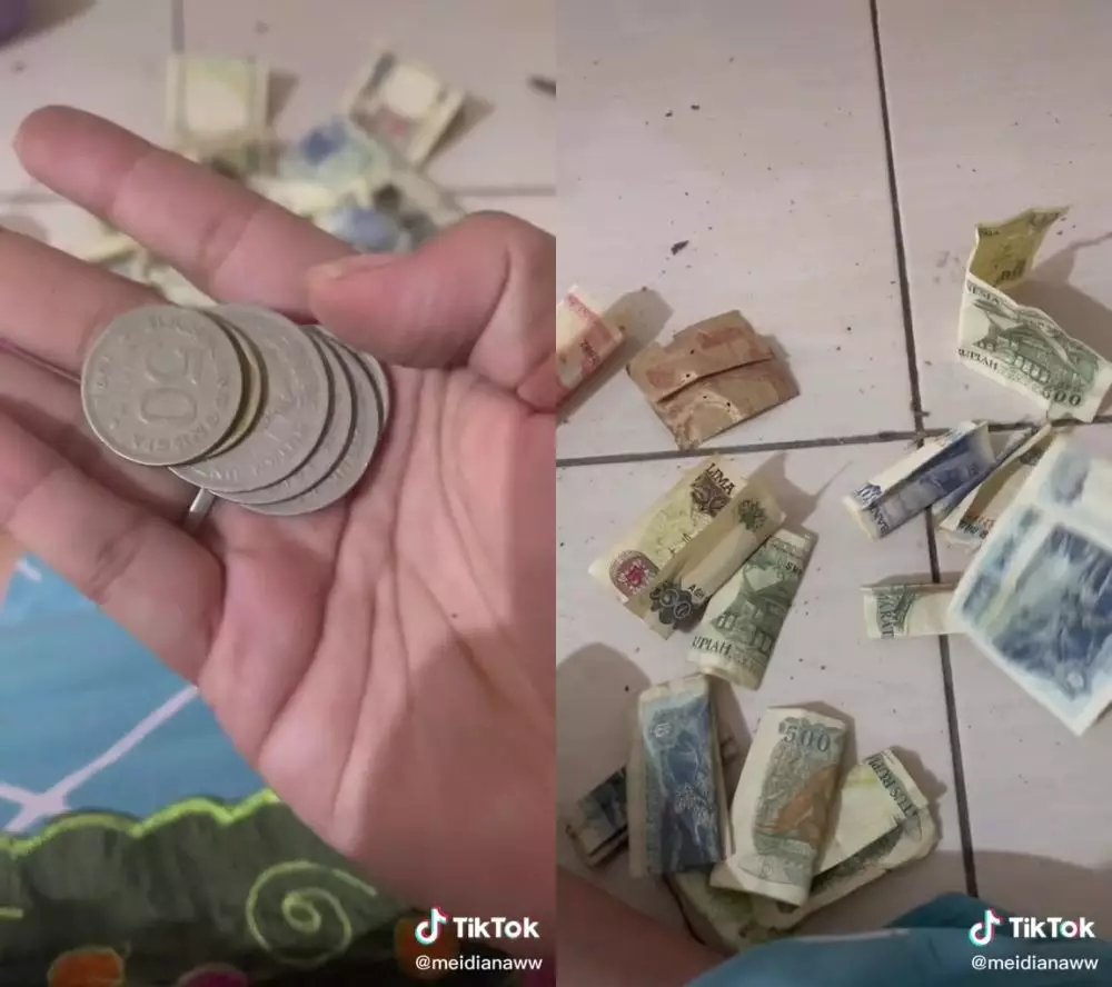 bongkar celengan lama © 2025 TikTok bongkar celengan lama © 2025 TikTok