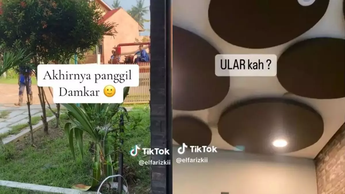 Bukti damkar cepat tanggap, momen evakuasi benda aneh disangka ular di atap ini endingya bikin kaget