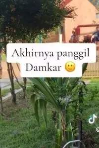 Bukti damkar cepat tanggap, momen evakuasi benda aneh disangka ular di atap ini endingya bikin kaget