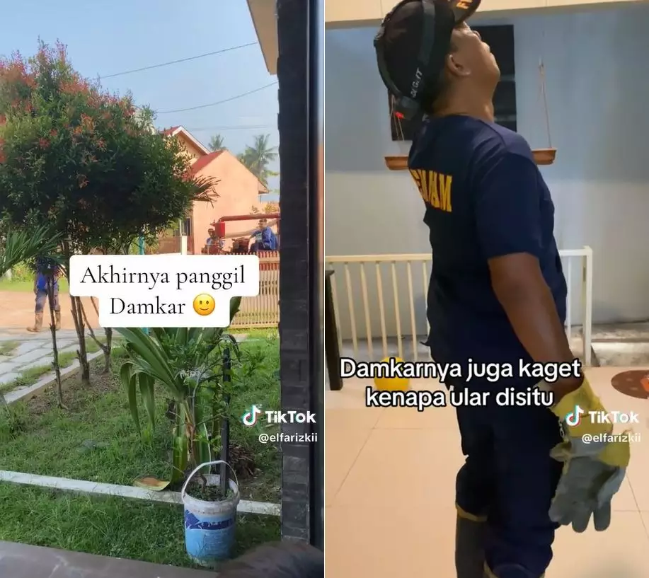 damkar ular © TikTok damkar ular © TikTok