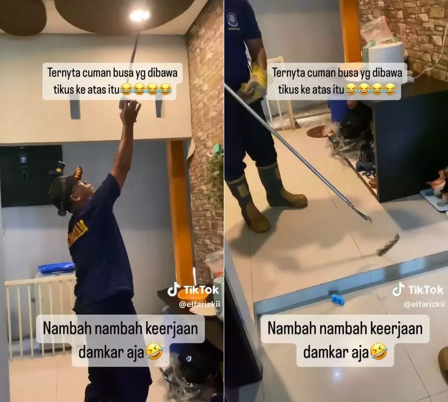 damkar ular © TikTok damkar ular © TikTok