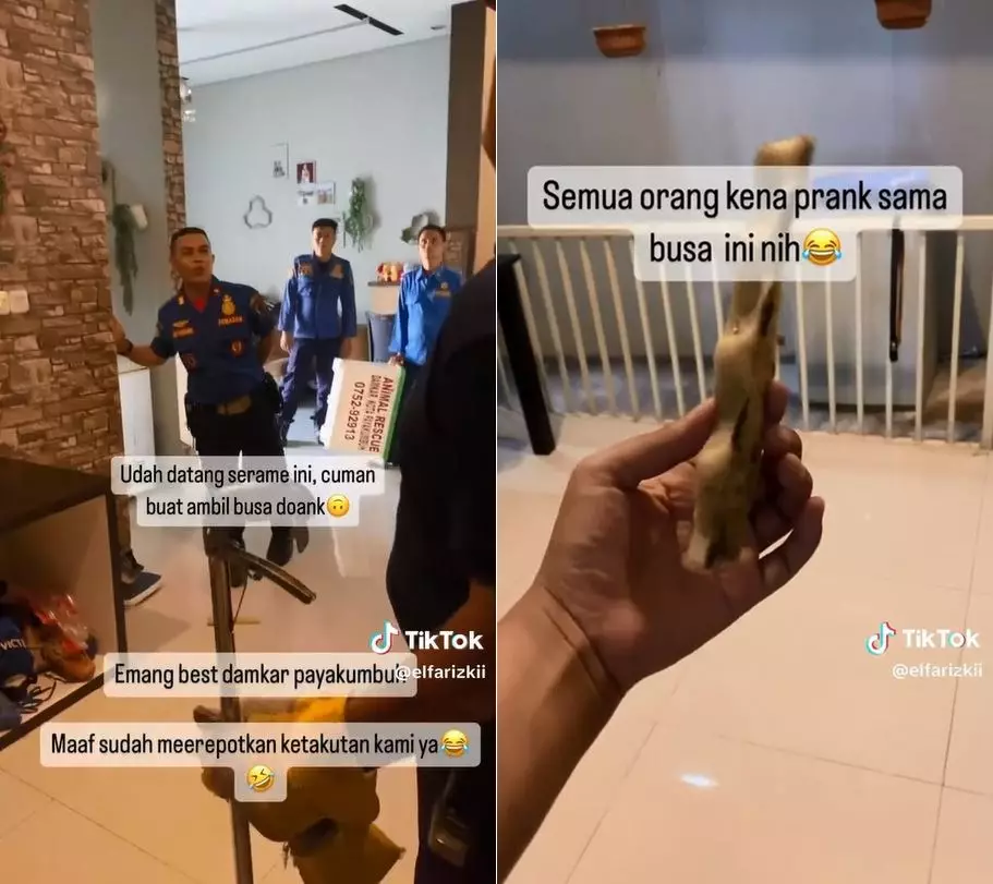 damkar ular © TikTok damkar ular © TikTok