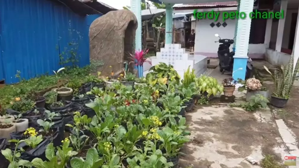 rumah betrand peto di kampung © YouTube