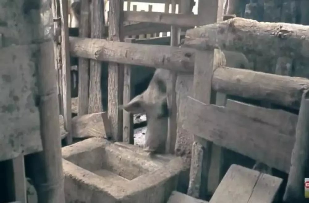 rumah betrand peto di kampung © YouTube rumah betrand peto di kampung © YouTube