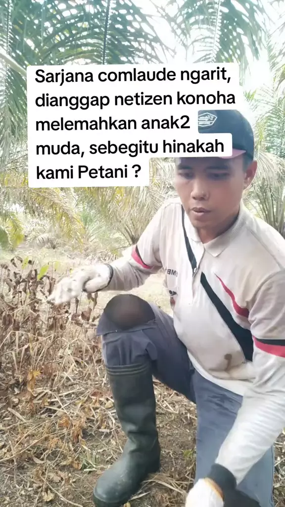Viral pria lulus cumlaude kini jadi petani © 2025 TikTok Viral pria lulus cumlaude kini jadi petani © 2025 TikTok