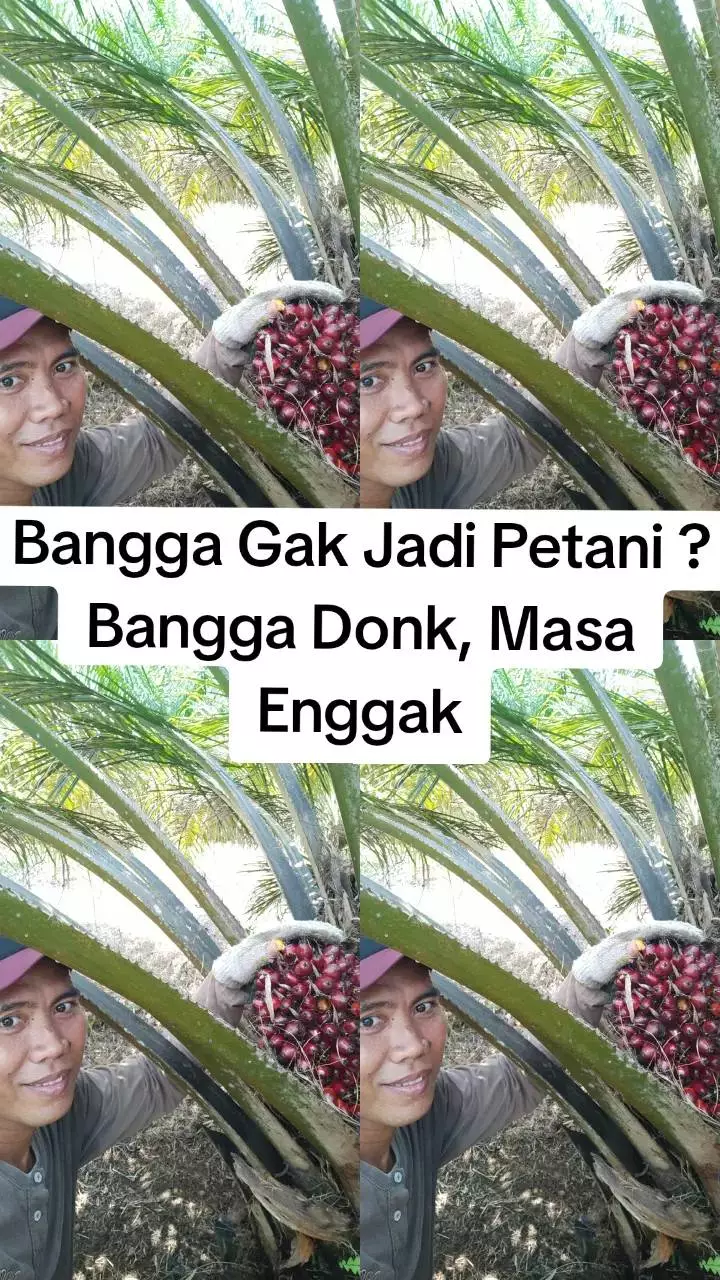 Viral pria lulus cumlaude kini jadi petani © 2025 TikTok Viral pria lulus cumlaude kini jadi petani © 2025 TikTok