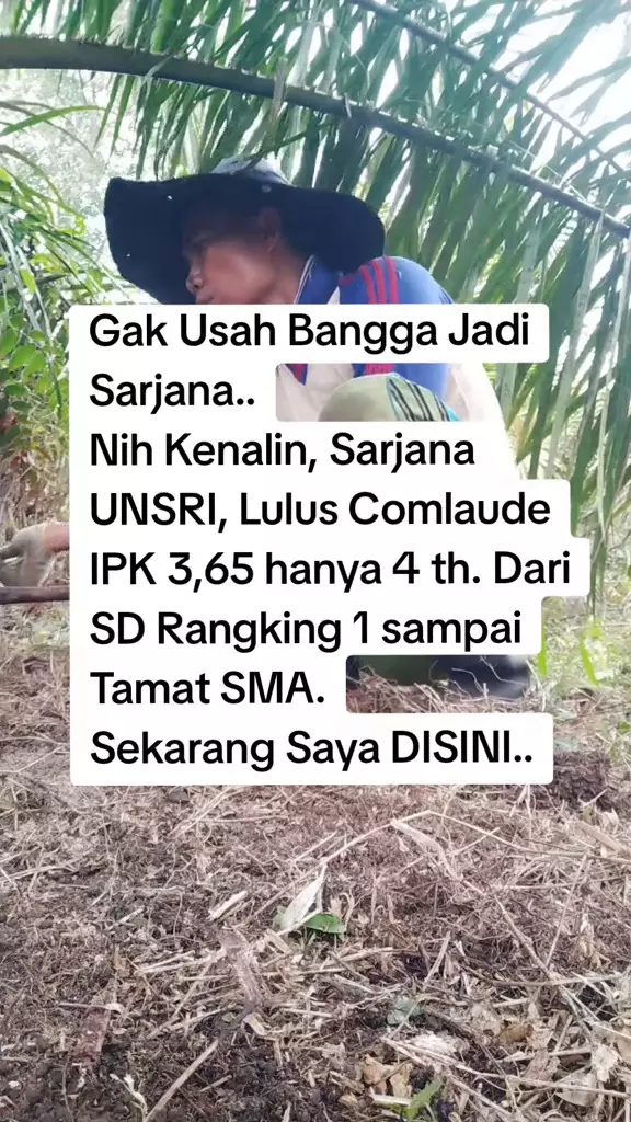 Viral pria lulus cumlaude kini jadi petani © 2025 TikTok Viral pria lulus cumlaude kini jadi petani © 2025 TikTok