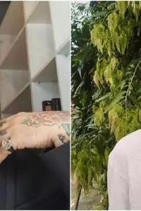 Saat ini polisi masih melakukan pemeriksaan secara insentif terhadap eks vokalis band Killing Me Inside.