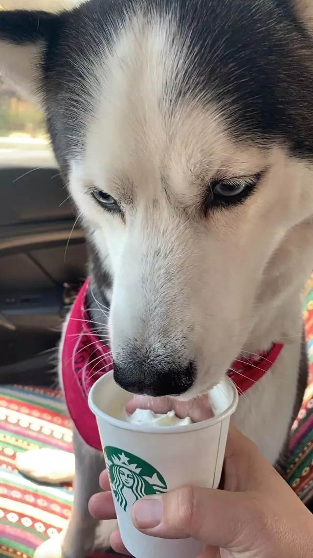 foto menipu mata keren © berbagai sumber