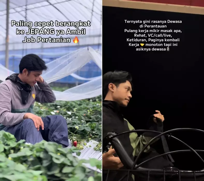 Sarjana cumlaude pilih jadi petani di Jepang © 2025 TikTok Sarjana cumlaude pilih jadi petani di Jepang © 2025 TikTok