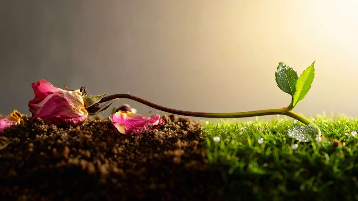 100 Kata-kata motivasi tentang tak ada hidup yang abadi, memberi pencerahan