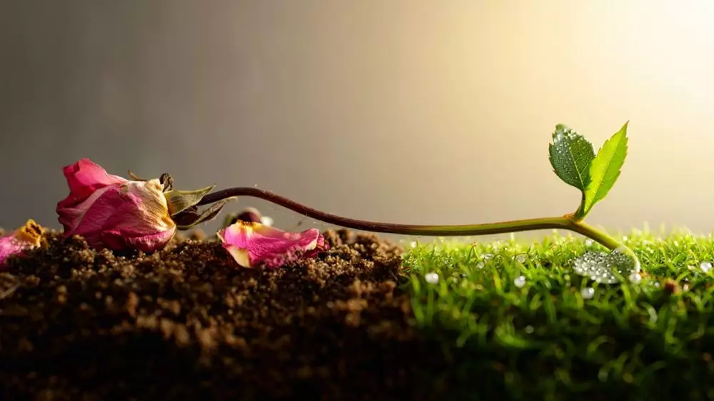 100 Kata-kata motivasi tentang tak ada hidup yang abadi, memberi pencerahan © 2025 brilio.net 100 Kata-kata motivasi tentang tak ada hidup yang abadi, memberi pencerahan © 2025 brilio.net