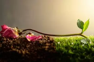 100 Kata-kata motivasi tentang tak ada hidup yang abadi, memberi pencerahan