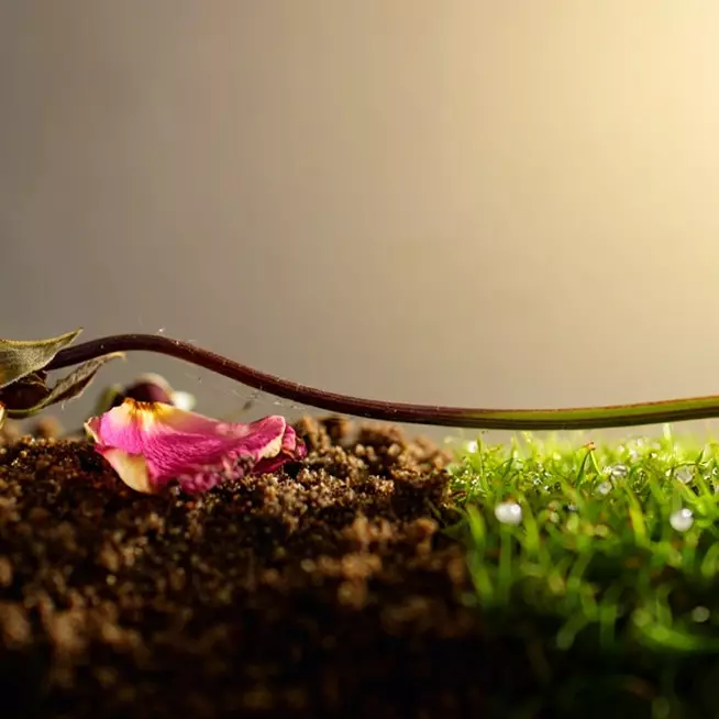 100 Kata-kata motivasi tentang tak ada hidup yang abadi, memberi pencerahan