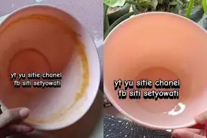 Jangan cuma pakai pasta gigi buat bersihkan noda kunyit di perabot plastik, tambah 1 bahan dapur ini