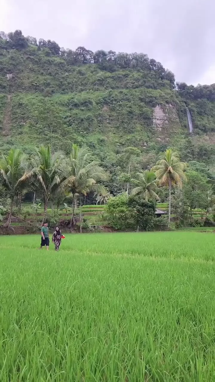 Keseharian Endang Mulyana ayah Lesty Kejora bertani di sawah © 2025 brilio.net