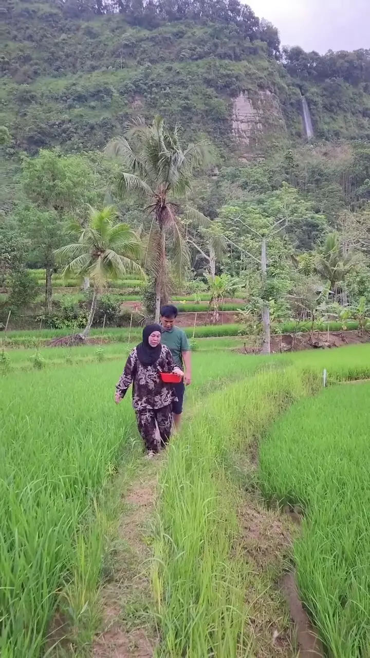 Keseharian Endang Mulyana ayah Lesty Kejora bertani di sawah © 2025 brilio.net