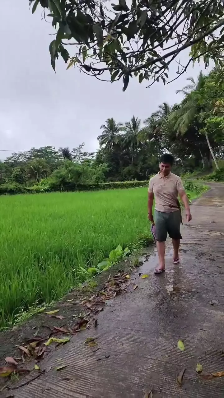 Keseharian Endang Mulyana ayah Lesty Kejora bertani di sawah © 2025 brilio.net