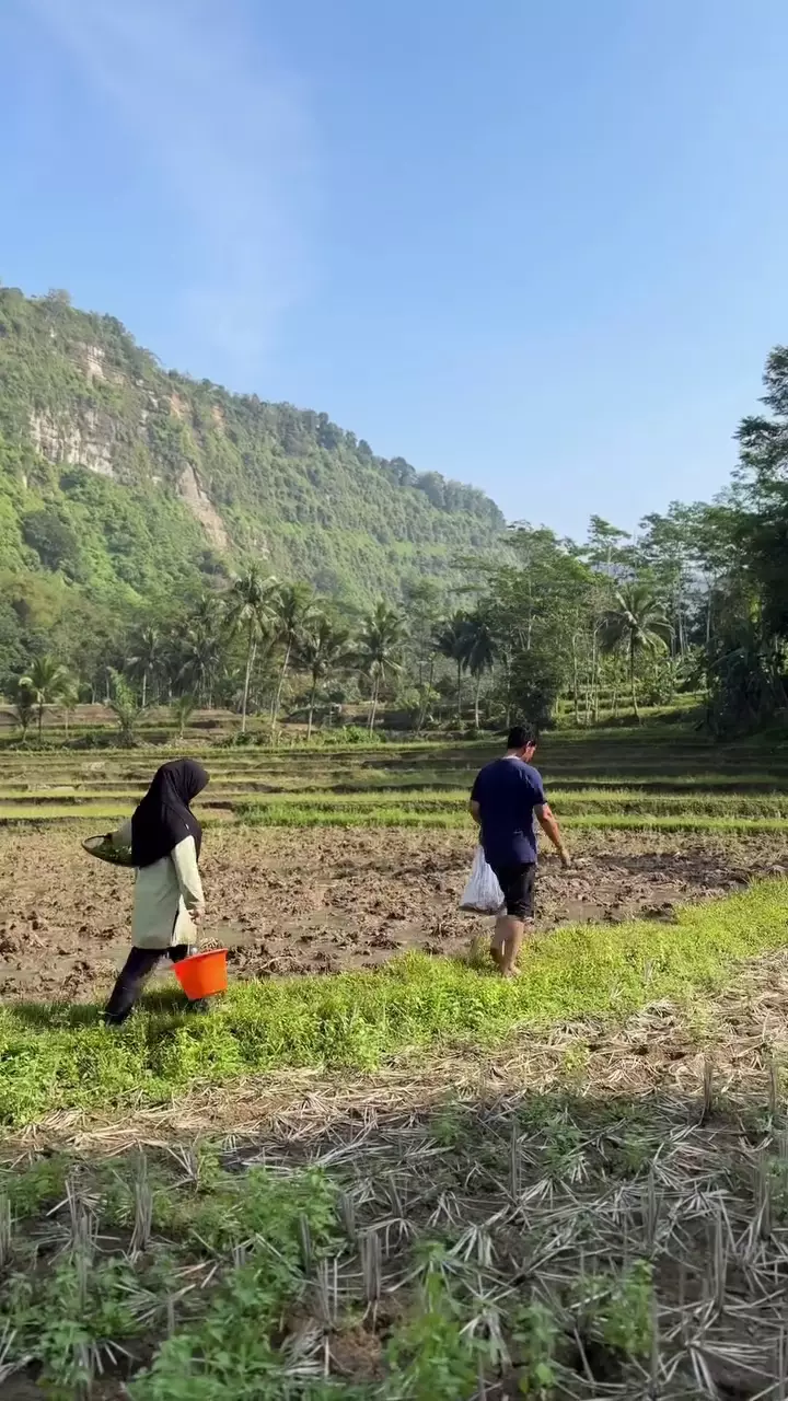 Keseharian Endang Mulyana ayah Lesty Kejora bertani di sawah © 2025 brilio.net