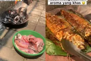 Trik jitu bakar ikan agar cepat matang merata meski tak digoreng dulu, ternyata kuncinya di 1 alat ini