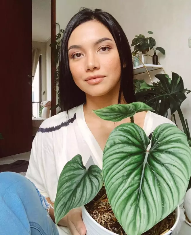 Aktor ngetop ini kini merangkap staf ahli Kemenpora Instagram Aktor ngetop ini kini merangkap staf ahli Kemenpora Instagram