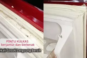 Cara bersihkan karet pintu kulkas dekil berjamur modal 3 bahan dapur, noda hilang dalam sekali gosok