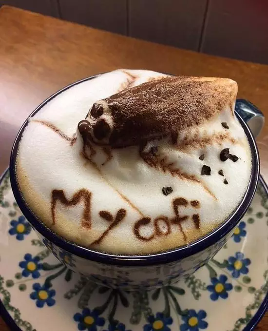 penyajian kopi nyeleneh © berbagai sumber