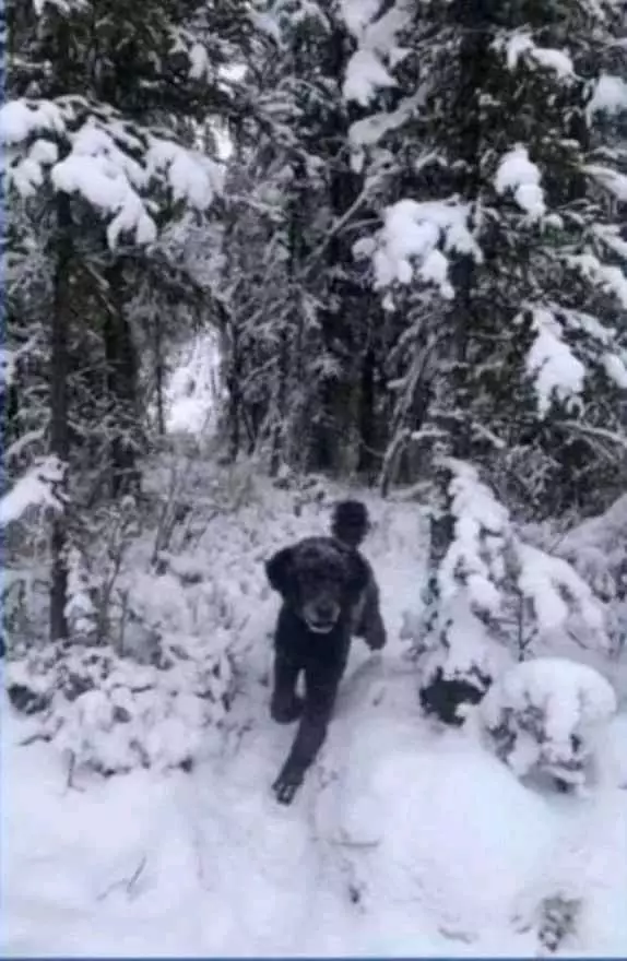 obyek menipu mata © berbagai sumber