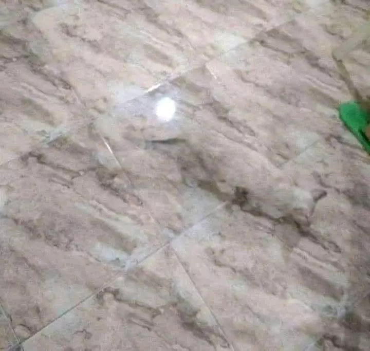 obyek menipu mata © berbagai sumber