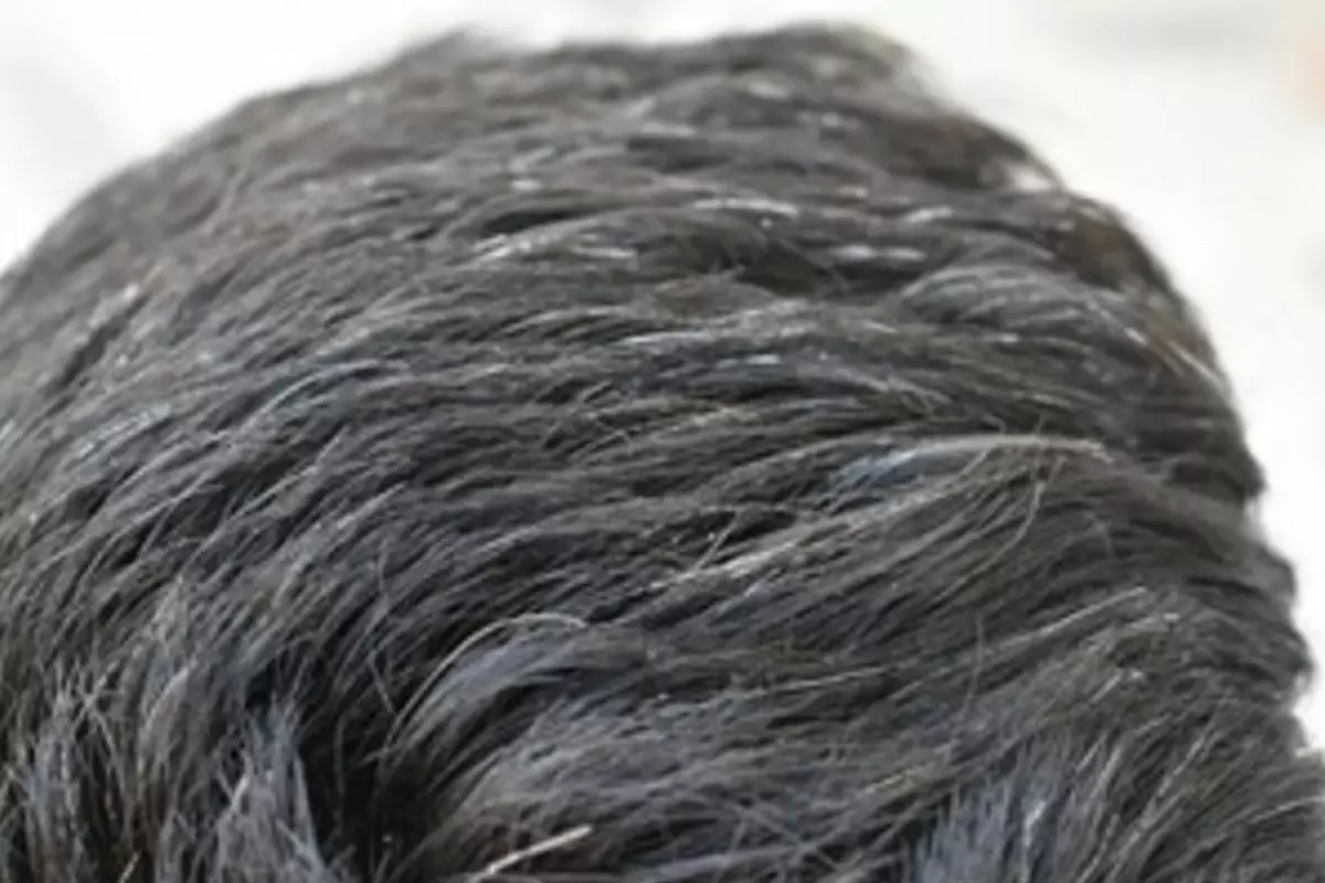 Trik mengubah uban jadi rambut hitam lebat lagi dengan 1 jenis daun, tak perlu pakai urang-aring