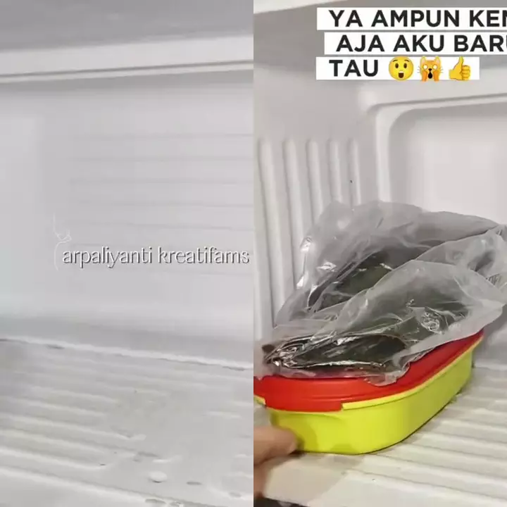 Bukan dilapisi plastik, ini trik baru cegah bunga es menumpuk di freezer yang bikin makanan lengket