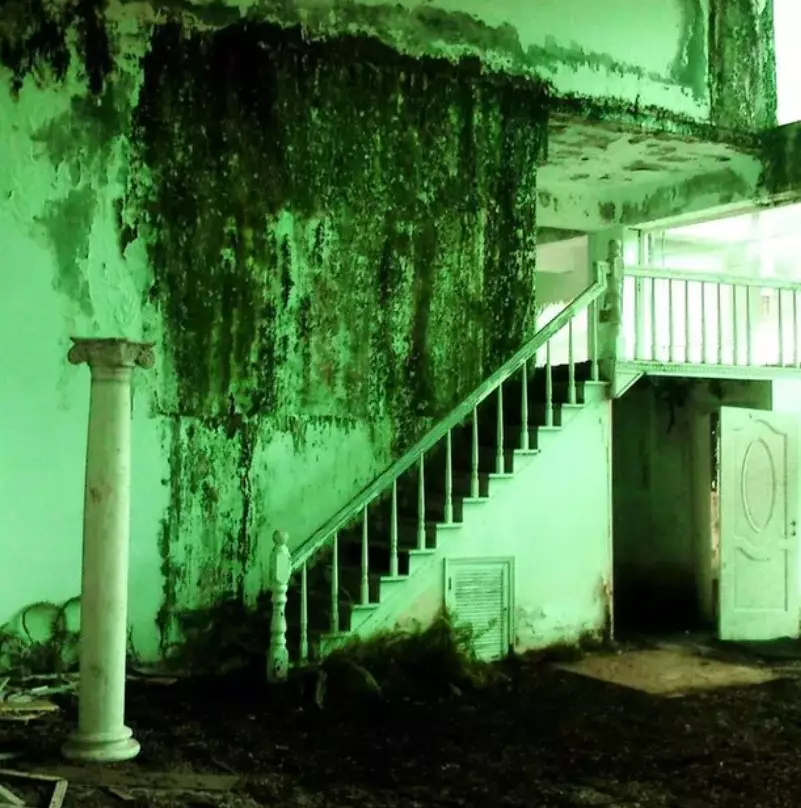 Rumah Tao Ming Tse di serial Meteor Garden © YouTube Rumah Tao Ming Tse di serial Meteor Garden © YouTube