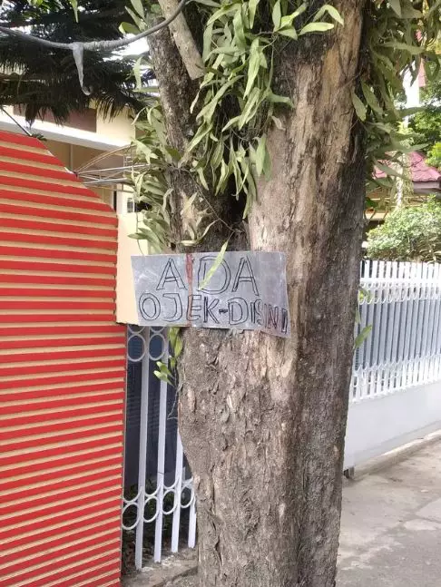 tulisan di pohon © berbagai sumber