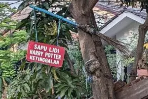 11 Tulisan nyeleneh di pohon ini bikin ngakak, niatnya serius tapi malah bikin nyengir sepanjang hari