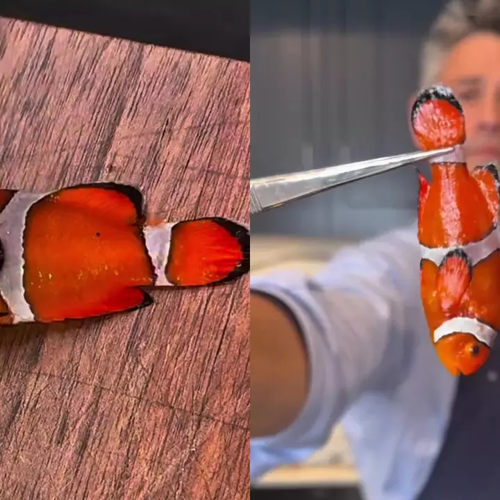  Aksi nekat chef masak ikan nemo jadi menu premium ini bikin heboh, warganet: memang aman dikonsumsi?