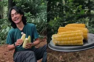 Pria ini bagikan trik mengukus makanan tanpa air, bisa matang sempurna dengan 1 bahan sederhana