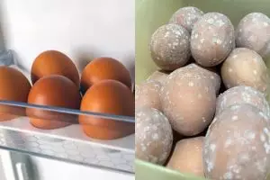Niat nyetok, wanita ini malah dapati telur berjamur meski ditaruh kulkas, simak cara tepat simpannya