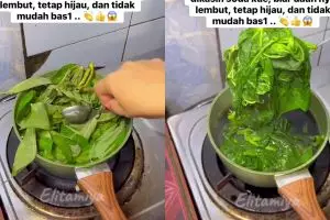 Ilmu dari pedagang nasi padang, ini trik daun singkong tetap hijau saat direbus dan tak mudah basi 