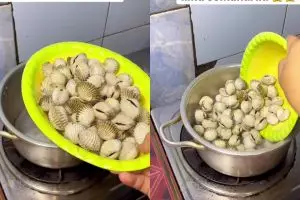 Sering rebus kerang tapi masih bau amis? Jangan pakai rempah! Coba gunakan garam dan 1 kulit buah ini