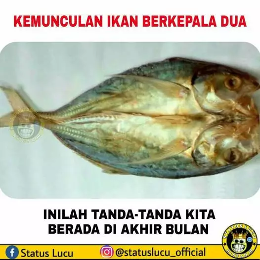 potret lucu akhir bulan © berbagai sumber