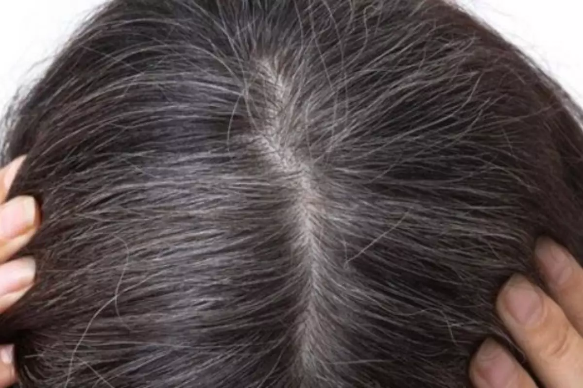 Trik agar uban tidak tumbuh labi meski usia sudah 35 tahun lebih, tanpa dicat hitam