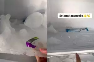 Cuma butuh 10 menit, bunga es di freezer auto mencair dan mudah dibersihkan, kuncinya di 1 alat ini