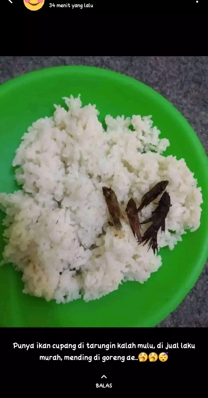 pamer makanan apes © berbagai sumber pamer makanan apes © berbagai sumber