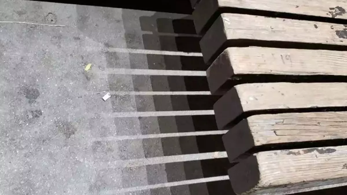 11 Potret bayangan benda yang tanpa sengaja jadi estetik abis, kayak karya seni alam