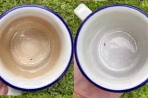 Masih kesulitan bersihkan kerak teh di gelas? Coba pakai cara dari ahli teh ini, praktis tanpa disikat