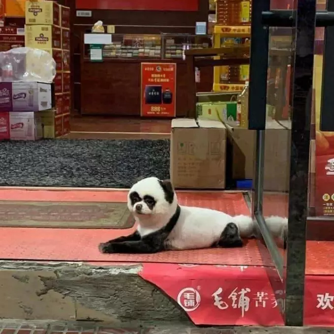 penampakan di depan toko © berbagai sumber penampakan di depan toko © berbagai sumber