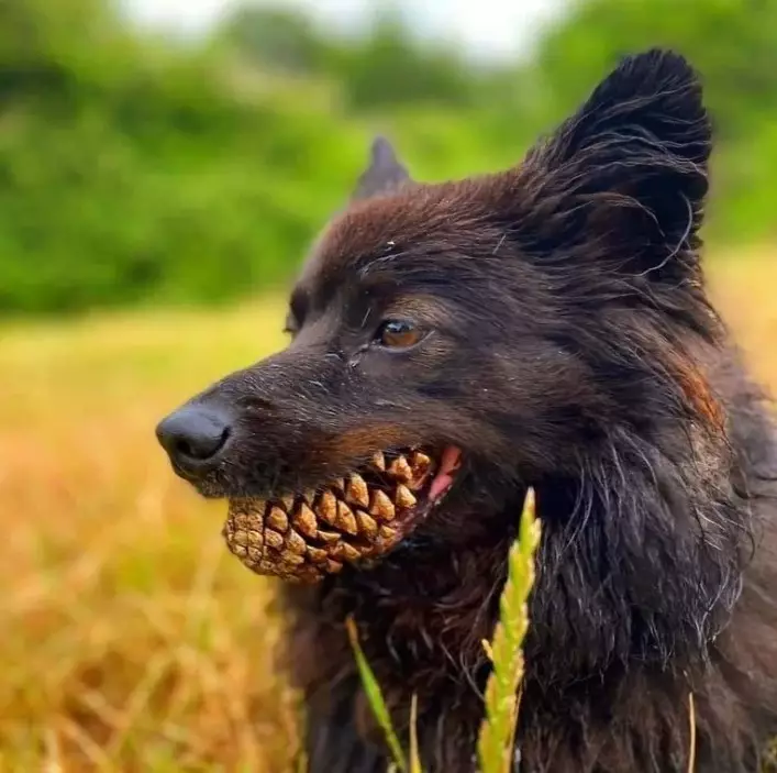 potret dilihat dua kali nggak sama © berbagai sumber