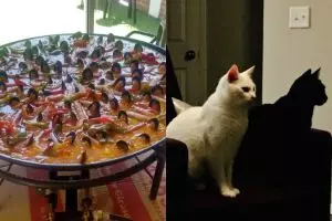 11 Potret ilusi optik yang sukses nge-prank mata, dilihat dua kali hasilnya tak sama